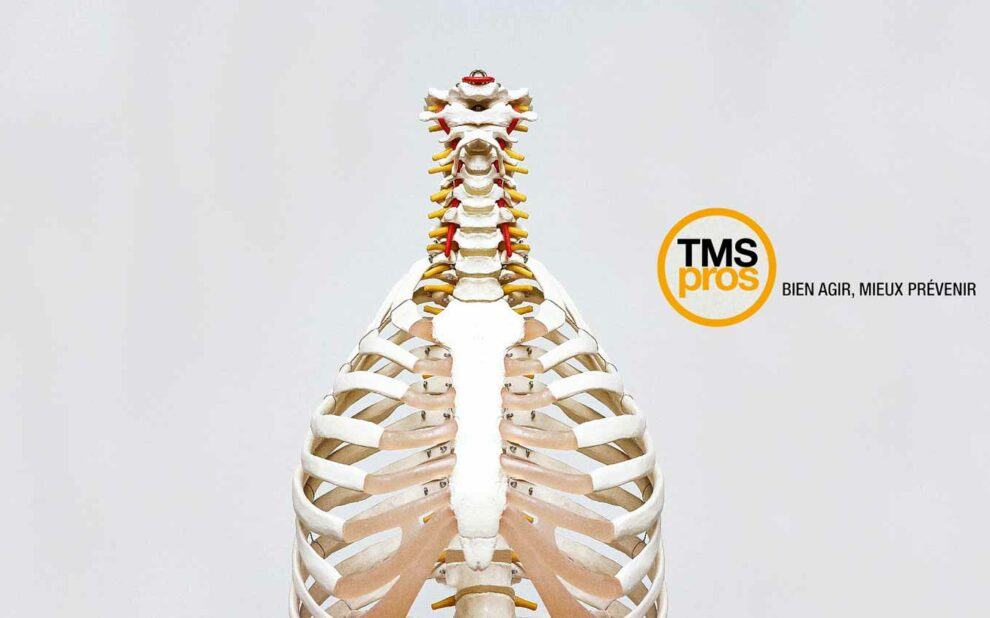 EB Prévention - Mal de dos en entreprise